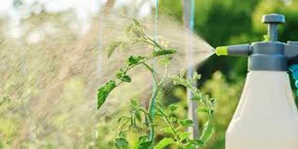 The Booming Foliar Spray Market: Growth, Trends, and Future Outlook