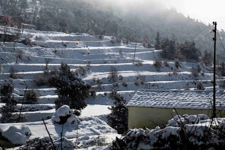 Why Brahmatal is the Perfect Alternative to Roopkund Trek