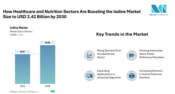 Exploring the USD 2.42 Billion Iodine Market: Trends, Segmentation, and Future Outlook