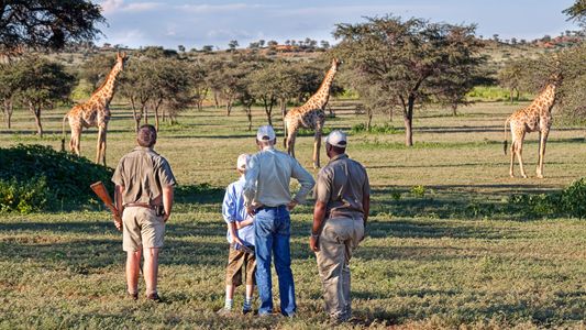 Kenya vs. South Africa: Which Safari Holiday is Right for You?