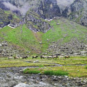 Why Hampta Pass is the Perfect First Himalayan Crossover for Beginners