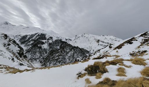 Kuari Pass Trek: My First Snowfall Experience