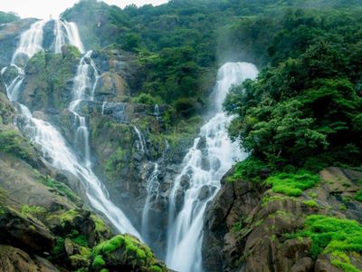 Dudhsagar Trek : Route, Best time to visit, How to reach, Tips and more