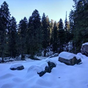 Best Less-Crowded Winter Treks in the Himalayas for Beginners and Nature Seekers