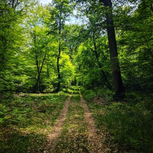 Netravati Trek: A Hidden Gem of the Western Ghats for Offbeat Adventurers