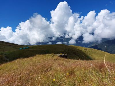 Top Reasons Why Ali Bedni Bugyal Trek is a Must-Do for Trekking Lovers