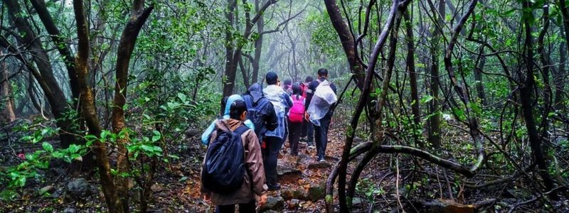 Andharban Trek: Exploring Maharashtra’s Mysterious Dark Forest