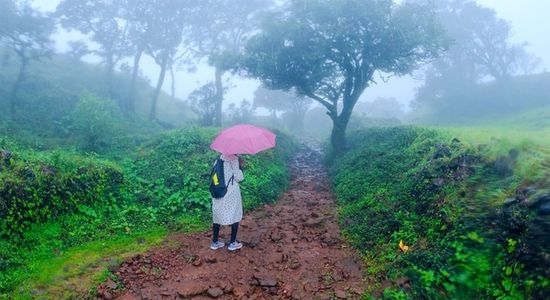 Kodachadri Trek: A Complete Guide to the Jewel of the Western Ghats
