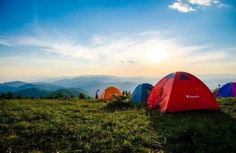 Wild Nights in Wayanad: Experience Camping Under the Stars