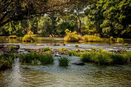 Exploring the Scotland of India: A 3-Day Coorg Tour Itinerary