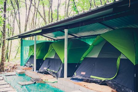 Sakleshpur Camping: A Peaceful Escape into the Coffee Hills of Karnataka