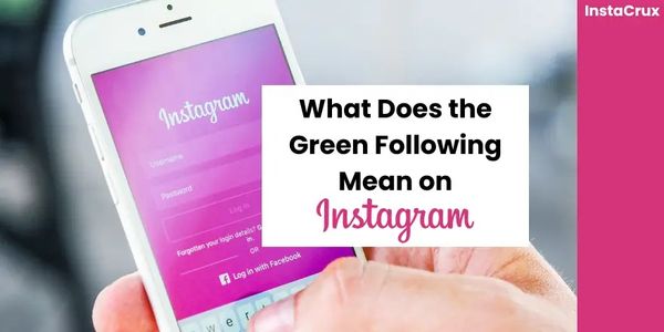 Instagram Green Following Button – Symbol Guide