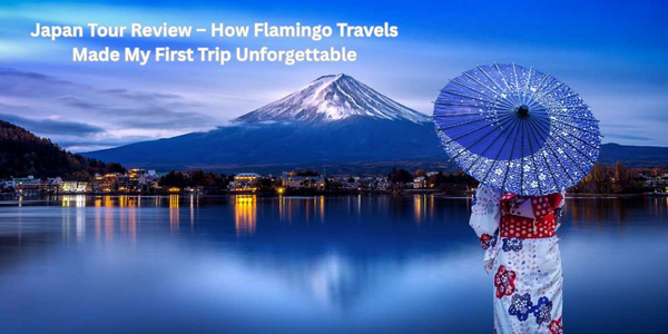 Japan Tour Review: How Flamingo Travels Made My First Trip Unforgettable