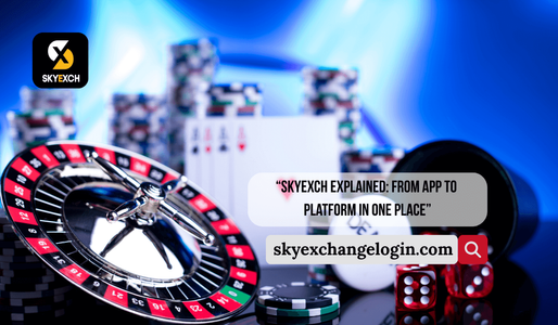 SkyExch App & Platform: Detailed User Guide