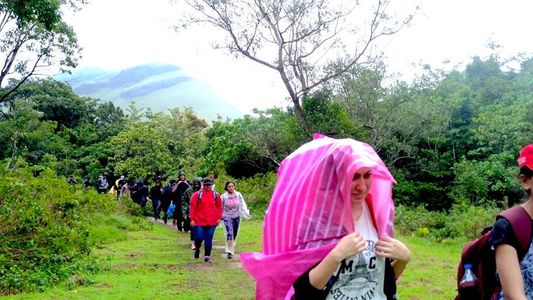 Kurinjal Trek: My Journey Through the Hidden Gem of Kudremukh
