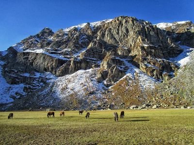 Top 10 Trekking Places in Himachal Pradesh