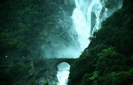 From Rails to Trails: Experiencing Dudhsagar Trek Like Never Before