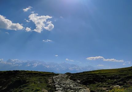 Top Beginner-Friendly Treks in India for Your First Himalayan Adventure