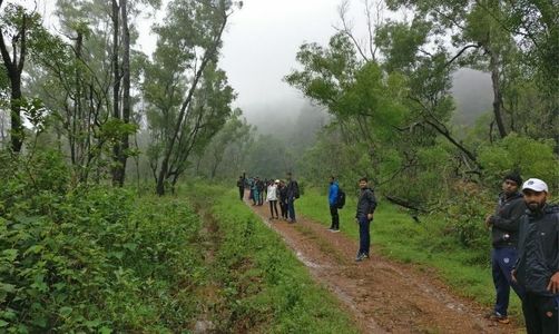 Kurinjal Trek – A Hidden Gem in Karnataka’s Kudremukh National Park