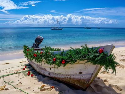 Mozambique eVisa for Backpackers: Affordable Ways to Travel the Coast