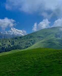A Complete Guide to Ali Bedni Bugyal Trek – By Local Exper