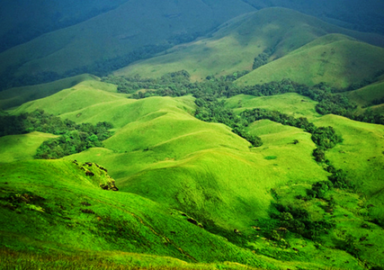 Escape the City: Top Weekend Getaways from Bangalore for Every Traveller