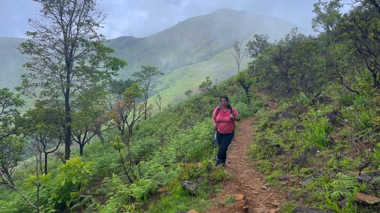 Netravati Trek – Discover the Untouched Trails of Karnataka’s Western Ghats