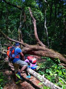 Kodachadri Trek: Chasing Clouds and Sunsets in Karnataka’s Hidden Gem