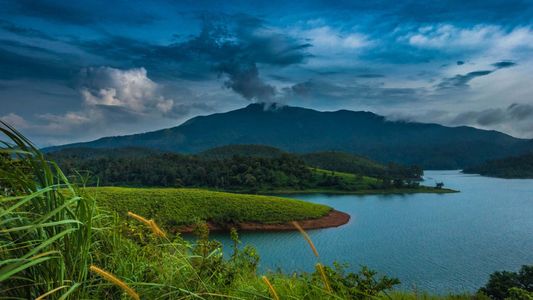 Wayanad Tour Package: 3 Days of Unforgettable Kerala Experiences
