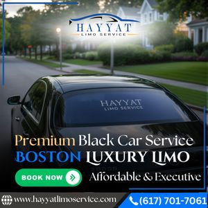 Corporate Boston Luxury Limo Service for Professionals