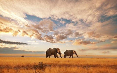 Best Resorts in Kenya for Relaxation