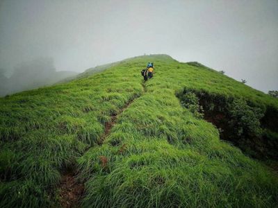 Kurinjal Trek: Discovering the Untouched Trails of Karnataka’s Western Ghats