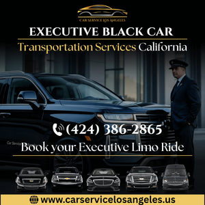 Executive Black Car Transportation Services California