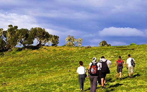 Trekking in the Simien Mountains: An Adventurer’s Paradise