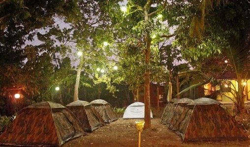 Adventure Awaits: Dandeli Camping – A Perfect Weekend Escape from Bangalore