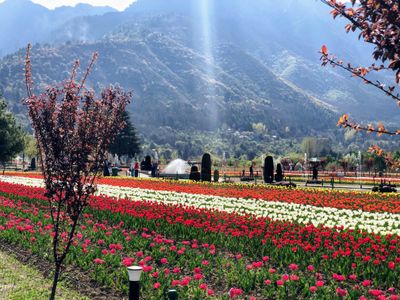 Where Snow Meets Romance: Your Dream Kashmir Escape