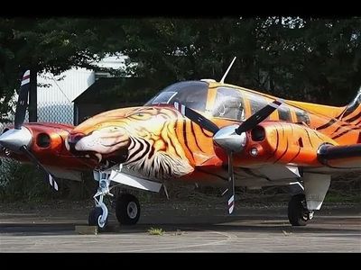 Aircraft Paint Market Growth Drivers & Key Challenges