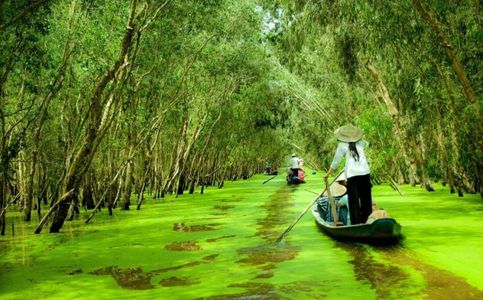 Sail Through Serenity: A Guide to the Mekong Delta Tour