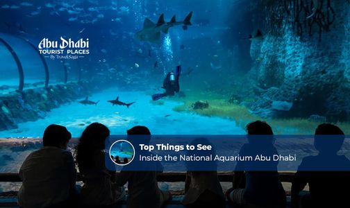 Top Things to See Inside the National Aquarium Abu Dhabi