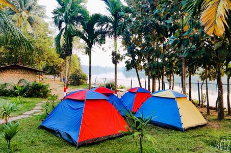 Into the Wild: A Complete Guide to Dandeli Camping Adventure