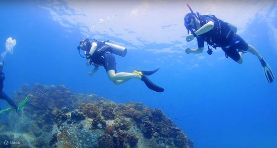 Beyond the Beach: Scuba Diving Adventures in Gokarna