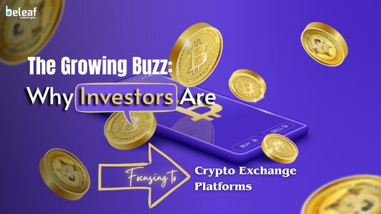 Why Are Crypto Exchange Platforms Attracting So Much Investor Interest?