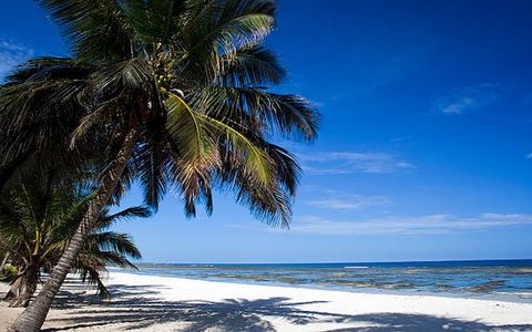 Best Beaches in Kenya for Relaxation and Adventure