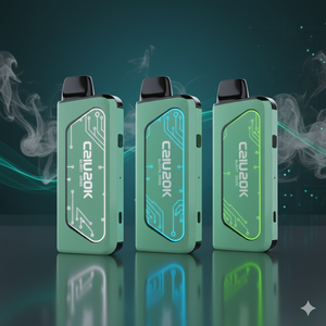 Travel with Cali Pods in 2026: What You Need to Know