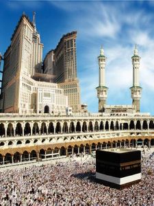 Premium Umrah Packages: 5-Star Stays by the Haram