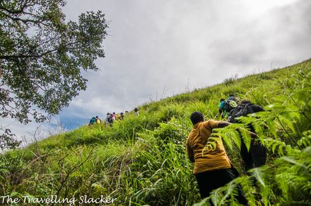 Journey to the Clouds: A Complete Guide to Netravati Peak Trek
