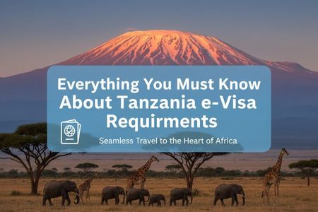 Everything You Must Know About Tanzania e-Visa Requirements