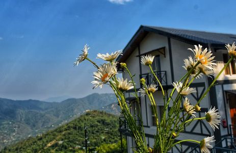 Tudor House – The Perfect Blend of Luxury and Nature in Mukteshwar