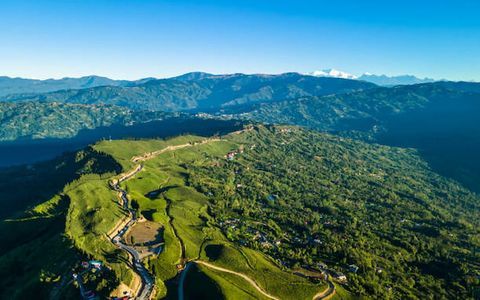 Tea Gardens, Lakes, and Monasteries to Explore in Darjeeling