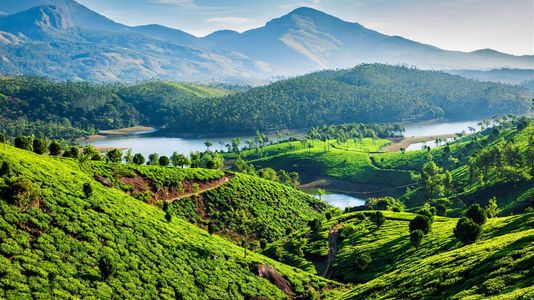 Mist & Magic in Munnar: A 3-Day Escape to Kerala’s Dreamy Hills